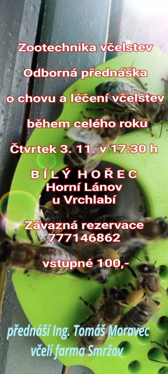 BilyHorec's tweet photo. https://t.co/IMbPErR5g2