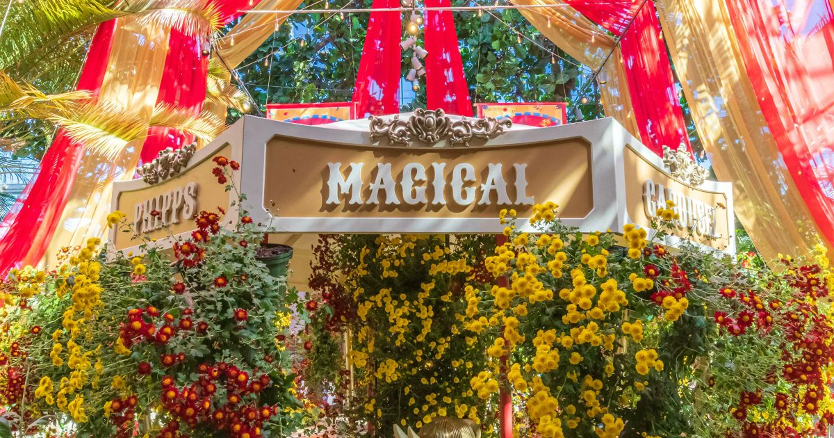 Blooms Under the Big Top has been a magical experience thus far and we can't wait for you to experience it for yourself! This show is open until Oct. 30, visit before it's too late! Learn more: phipps.conservatory.org/calendar/detai… Photo © Phil Johnson II