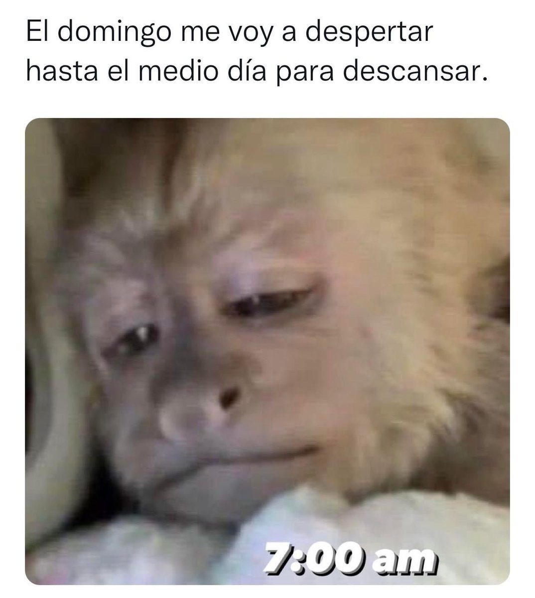 Paco81907605's tweet photo. Siempre me pasa esto :( https://t.co/q8hgtPlsS1