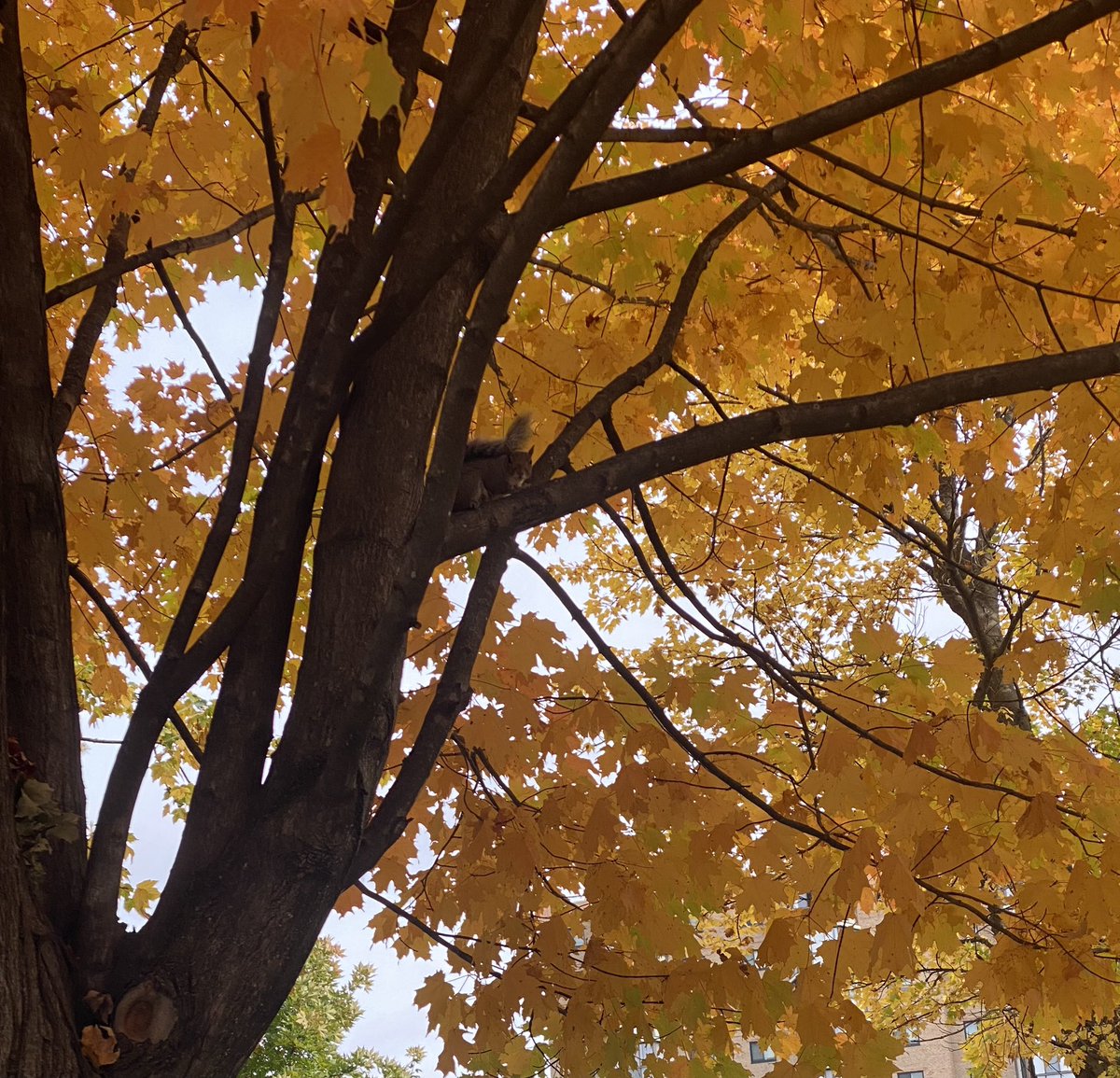 #deepcleansingbreath