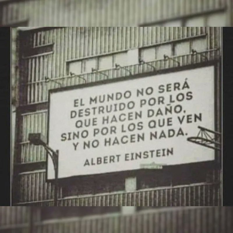 EcoInventos's tweet photo. El  mundo no será destruido por los que hacen daño, sino por los que ven y no hacen nada. https://t.co/JMJIjjrhj5