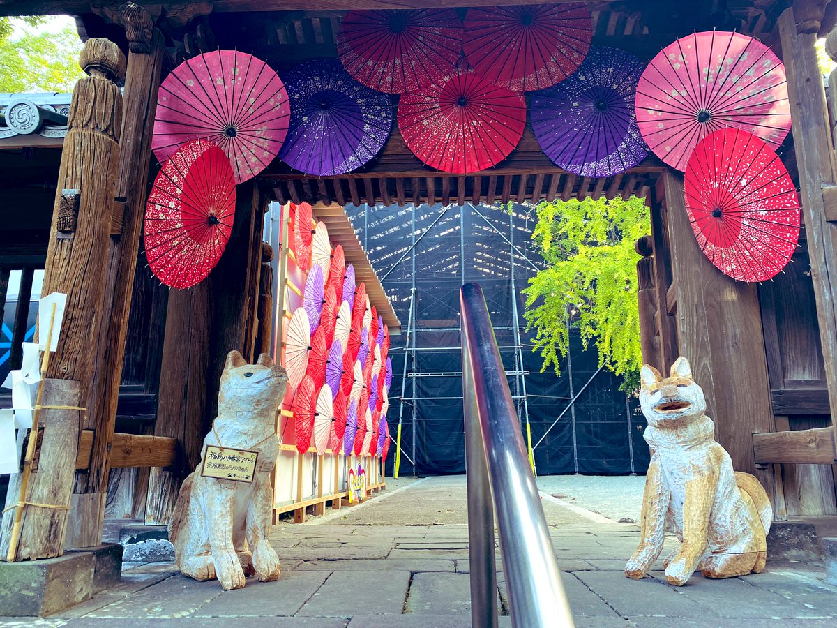 「八女 福島八幡宮思い違いでなかなか辿り着けず ワンさん!と思ったら木彫りのシロち」|ぞうむしプロ 『トラックドライバーの怪談 First gear』書籍化 4月28日発売のイラスト