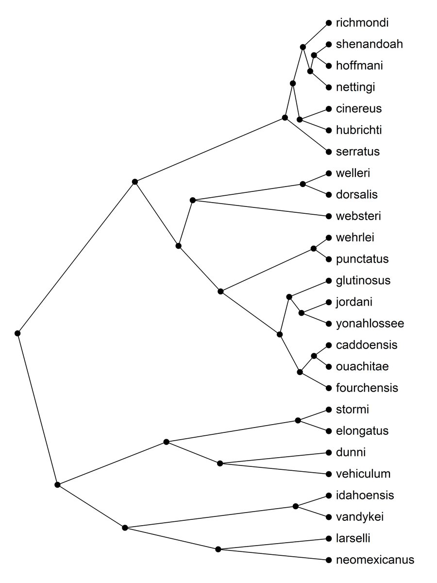 phytools_liam's tweet photo. For the final exercise of my unofficial #booklaunch #PhylogeneticComparativeMethods in #Rstats workshop with @lukejharmon I showed how to take advantage of #phytools and ape internals to customize our R-phylo plots -- including making a new plotting function! 

Code &amp; results. 👇 https://t.co/C66f6rIvcj