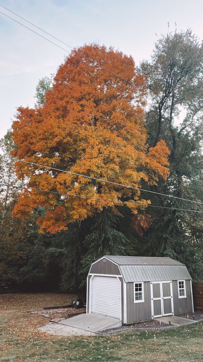 Lindsay Hines tweet media