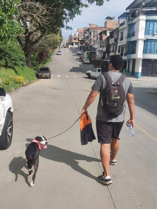 2 pic. 100% REAL https://t.co/gdjGLtZClM