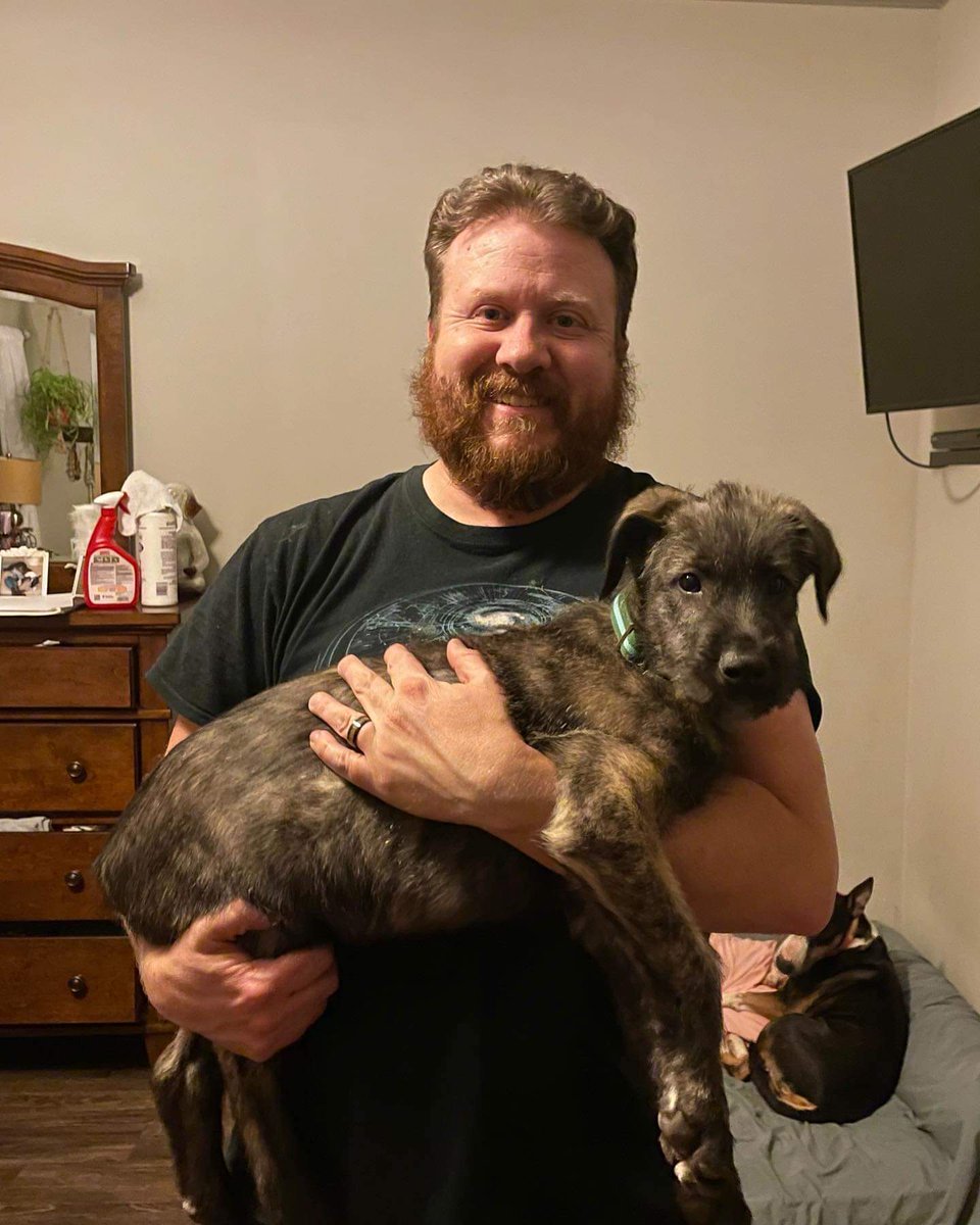 mazlow01's tweet photo. Gandalf at 10 months vs 2 months. 

And my wife constantly says "He's just a baby" (especially when she lets him on the bed) https://t.co/xu19gHUdxE