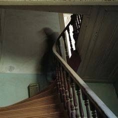 — Dude, what the fuck?

                            ;       <a href="/bxxgiemcn/">⸻ 𝘿𝙚𝙢𝙞𝙨𝙚 𝘽𝙤𝙤𝙜𝙞𝙚. ( solo menciones )</a>