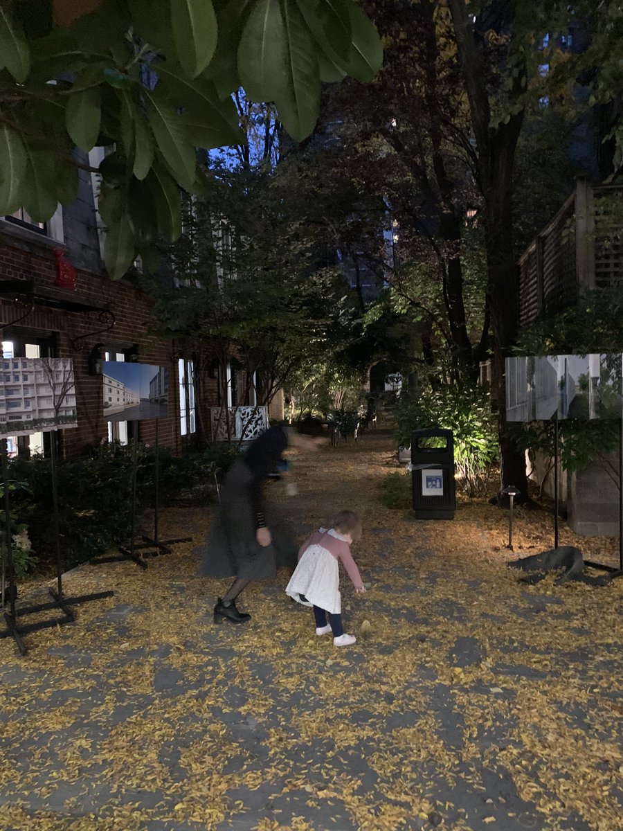 Maria Tello Lafoz tweet media