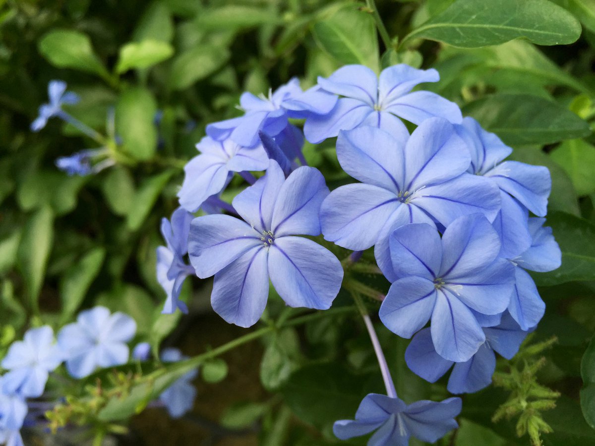 Yumin523 Yumin523 Twitter