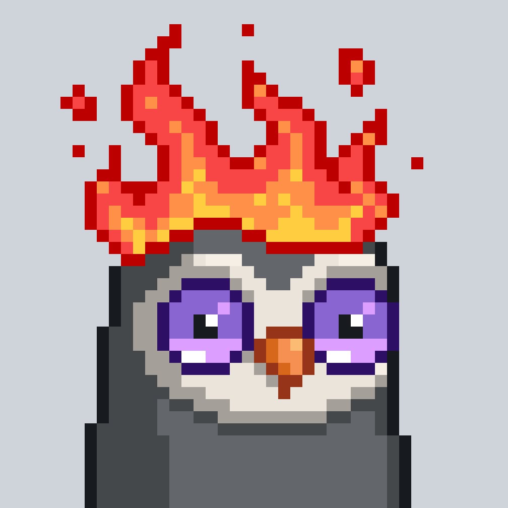 0xSalvor's tweet photo. Does #birdfollowbird still work?! @moonbirds comment, like, retweet for a follow! https://t.co/IGOwY6umh8