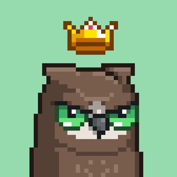 0xSalvor's tweet photo. Does #birdfollowbird still work?! @moonbirds comment, like, retweet for a follow! https://t.co/IGOwY6umh8
