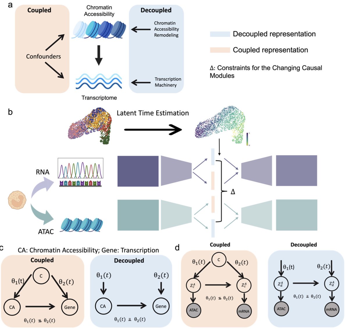 antisense. tweet media