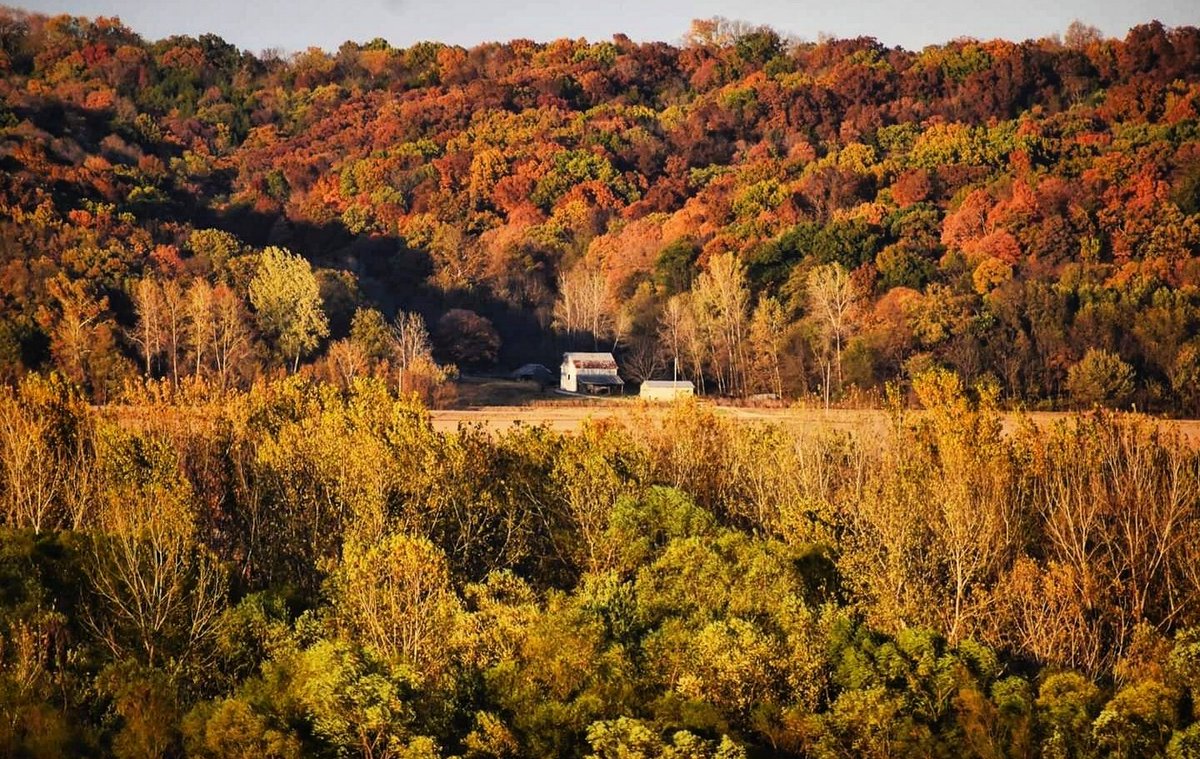 MissouriWXWatch's tweet photo. Fall evening in the river valley. https://t.co/BaPm8JlAAO