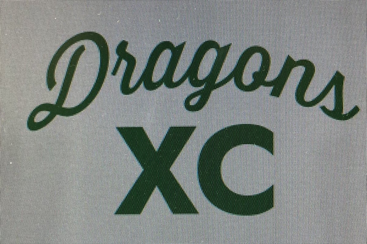 ErikcEdwards's tweet photo. 🔰🥇Jayden Marr wins the Region 2 Cross Country Championship with a new PR of 16:42🥇🔰#DragonXC https://t.co/6oTCnZCPlA