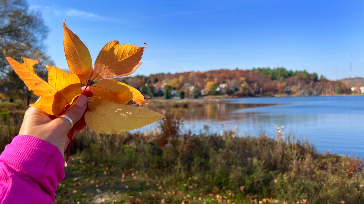 HeyItsMeMissJT's tweet photo. Turning over a new leaf. π#MinnowLakeLove #AutumnVibes #SunnySaturday #OutForAStroll #WeekendThings #GetOutside #LotsOfCardio #AWholeLotOfHappy #DoWhatYouLove #LoveWhatYouDo ππ§‘ππ²π₯Ύ https://t.co/OSp9sZmsMR