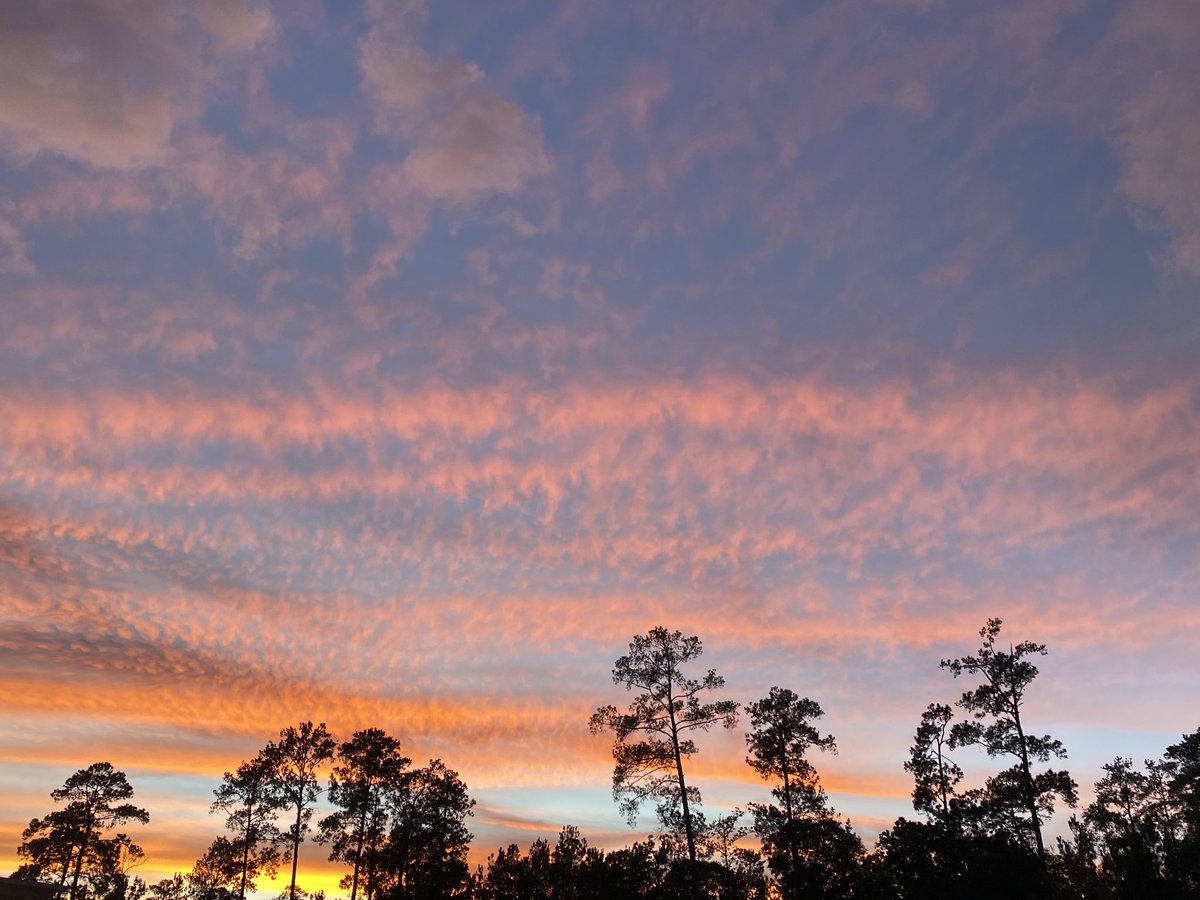 El Profesor - Danny Sánchez tweet media