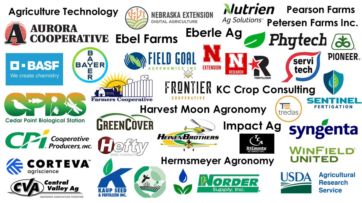 Anne Streich tweet media