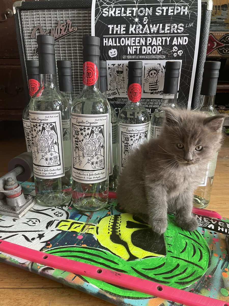 StickyShaw's tweet photo. One week from today #NFTHalloweenparty thank you #MolinaMezcal for the hook up! Get the #SkeletonStephNFT at https://t.co/kUGh5dB6UW #free entry to the #party & #freedrinks #SkeletonNftCommunity #nftdrop #Kitty #Mainecoonkitty #meow #lovecats @SekerFactory @GregCipes @nftnow https://t.co/aVS6oGkIxw