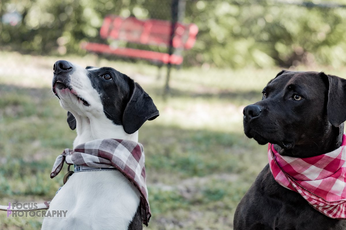 Scooby                  Bill
                🤝🏾
              &amp; Ted