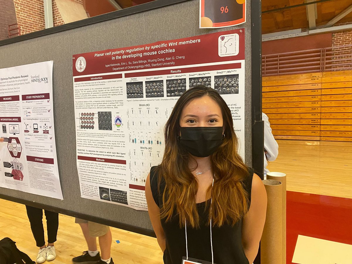 ChengEarLab's tweet image. Congratulations to Erin Su and Kaia Li on their wonderful presentation at the Stanford Symposium of Undergraduate Research and Public Service!