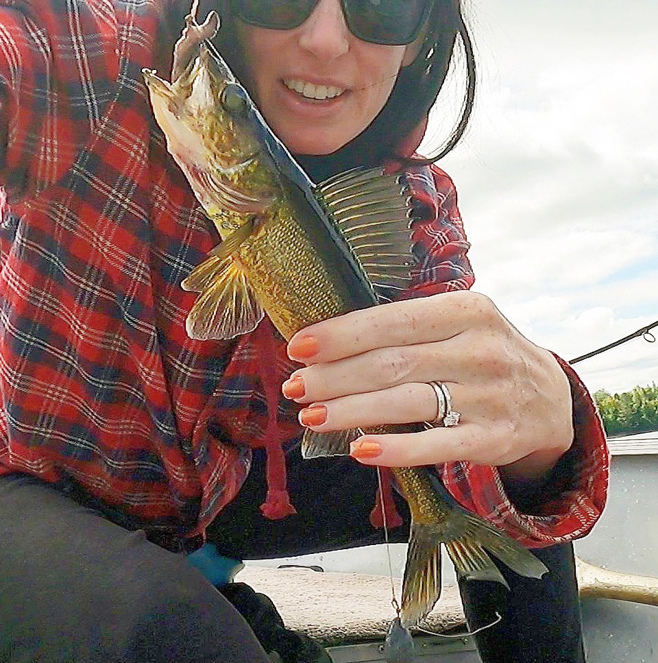 Golden nugget 🤲🏻
.
Follow @TRFisherwoman 
.
#walleye #walleyefishing #ladyangler #plaid #fishinglady #goldfish #zander #perch #perchfishing #girlsfishing #boatfishing #quebecfishing #womenfishtoo #canada