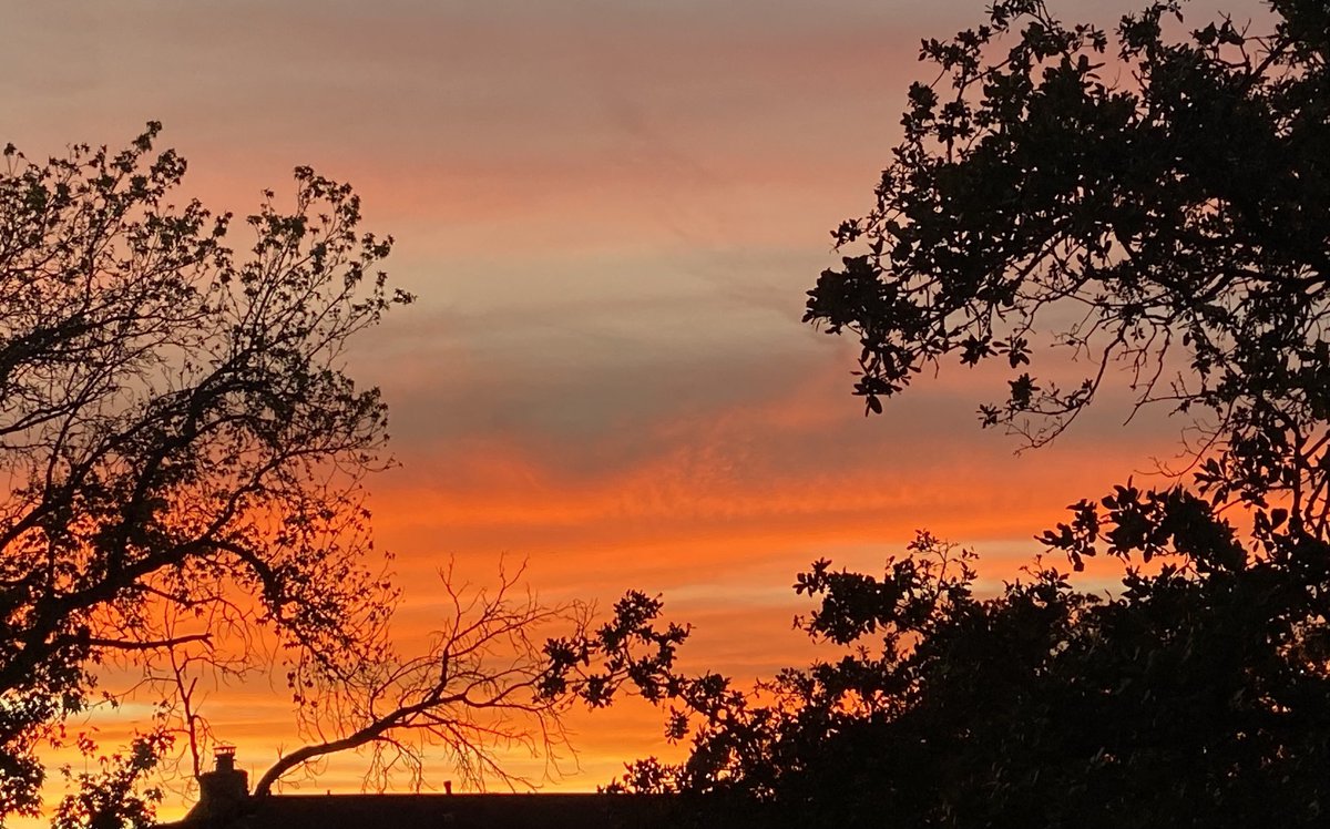 The ⁦@TexasLonghorns⁩ may have lost but tonight’s sunset in ATX is a beautiful shade of burnt orange.