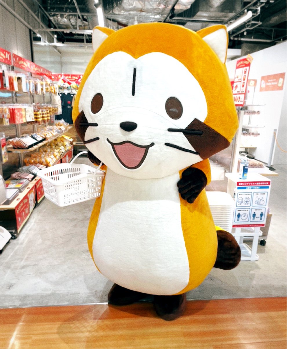 Rascal_Shippo's tweet image. ラスカルのお買い物③

消毒のあとは、買い物かごをもってレッツゴー！
ラスカルは何を選ぶのかな？？
みんな、予想してみてね！