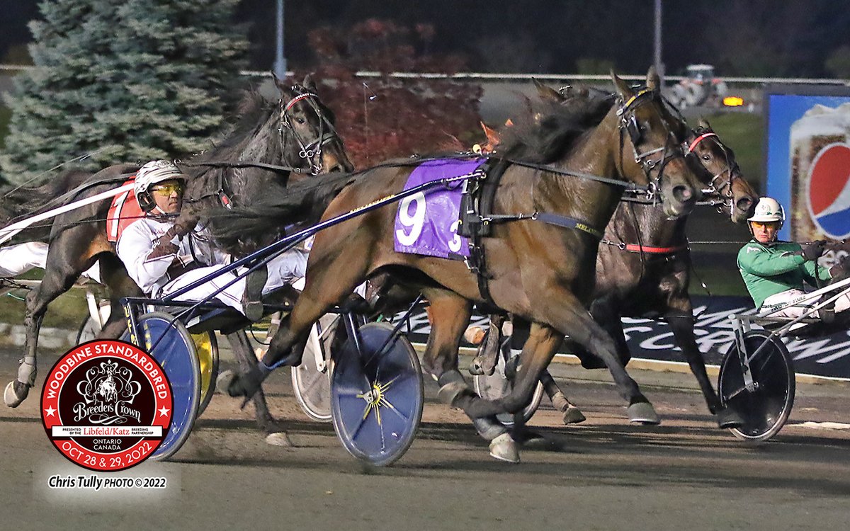 Breeders_Crown's tweet photo. R3
JOVIALITY S was 1-5 and swooped the field at the finish to take the $25,000 Breeders Crown elim 3-year-old Filly Trot in 1:52.1.

Driven by Brian Sears for trainer Marcus Melander and owner Stall Courant (Anders Strom), the daughter of Chapter Seven was bred by AM Bloodstock. https://t.co/BqdbWo4Bdr