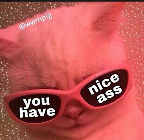 Losercuter's tweet photo. I'm doing free booty inspections. Nee booties I've never seen get rated first.
But drop your vtuber, irl, model, etc's booty and I'll judge and rate on how much I'd eat it and hoe aggressively I'd do it.
#lewdtubers #vtuber #bootyrate #backshots https://t.co/L6zcqLwd1I