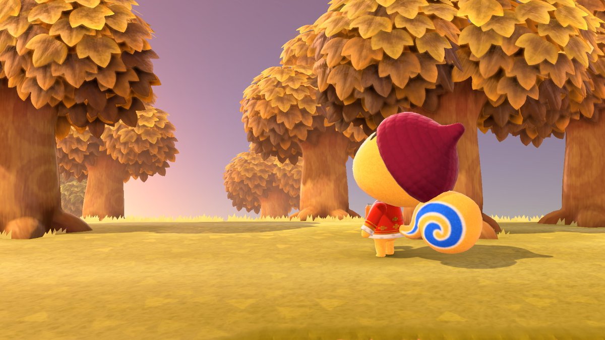 DigbyVFS_AC's tweet photo. Acorn king! #AnimalCrossing #ACNH #NintendoSwitch https://t.co/abnOlbNYdL