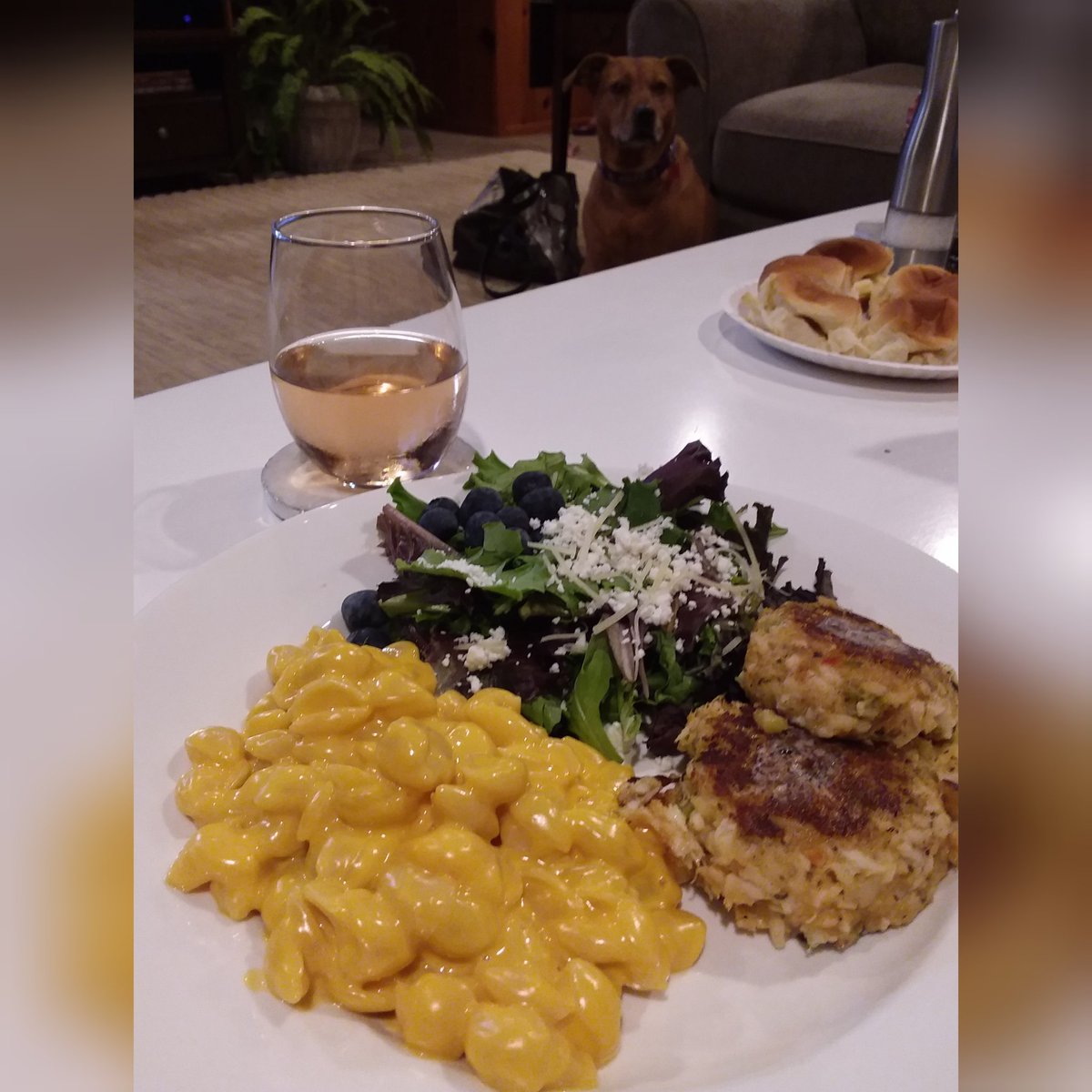AllIThinkAbout5's tweet photo. My official #OPLive Dinner @David_Foxx @OfficialOPLive @ReelzChannel #OnPatrolLive #OPNation ... #JosieTheStaffordshire is not happy with me. https://t.co/PywRehVzgW