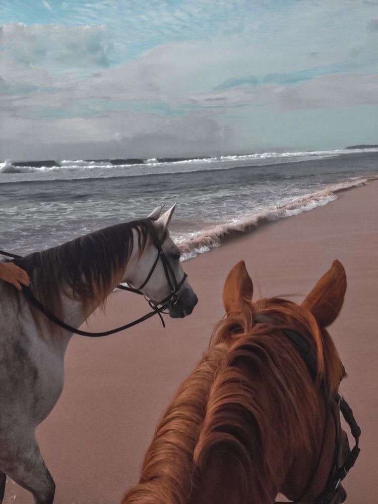 عمر المزروعي (@mrlmzrwy3) on Twitter photo 