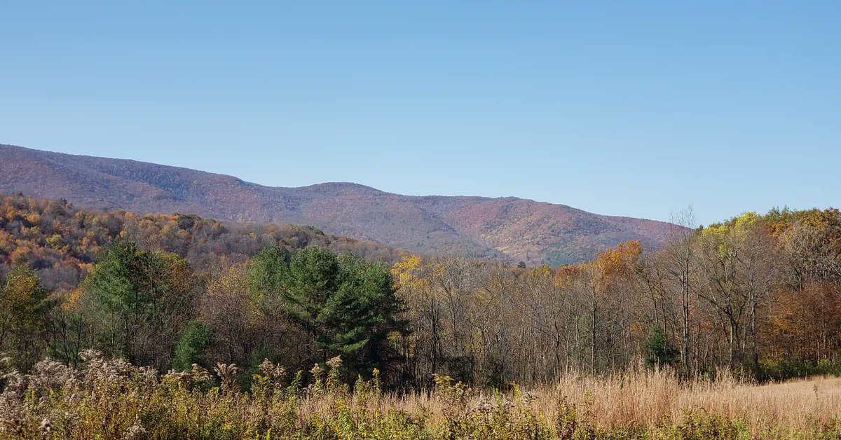 theclowderlady's tweet photo. A perfect fall day. https://t.co/bai1mfntaT