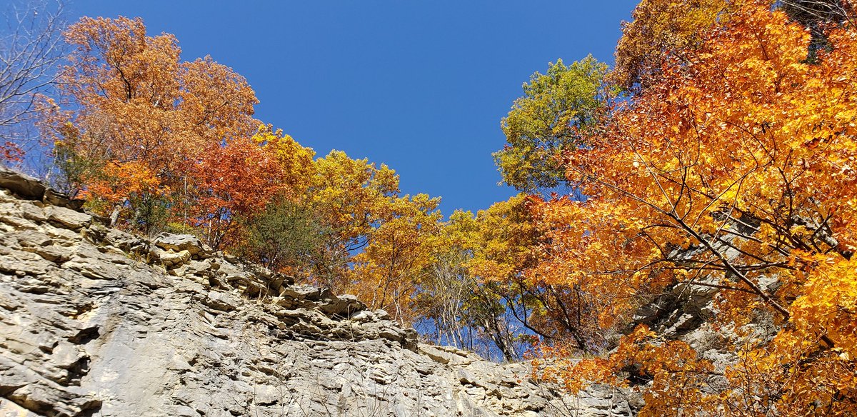 theclowderlady's tweet photo. A perfect fall day. https://t.co/bai1mfntaT