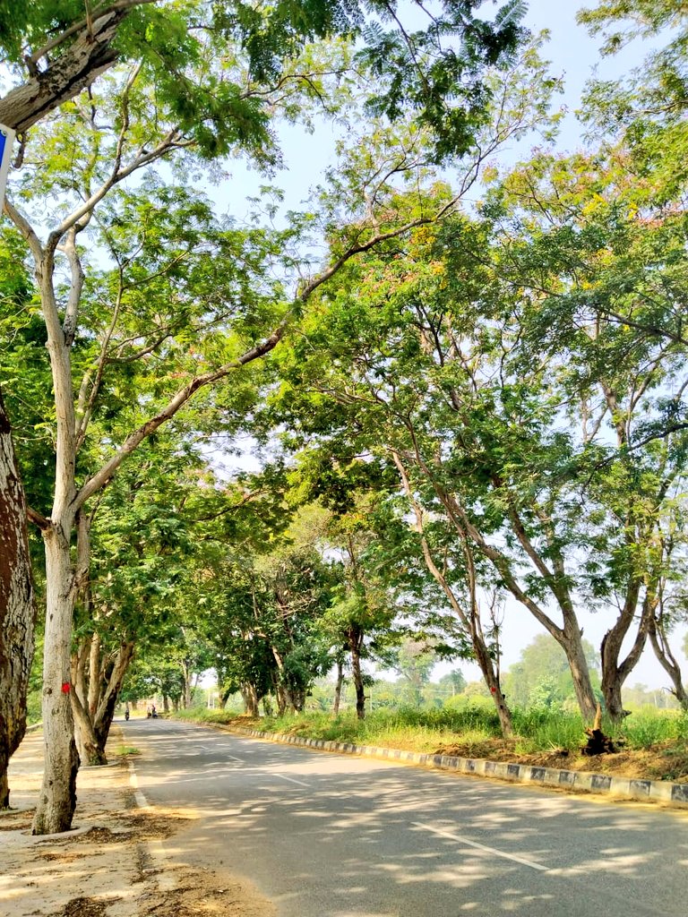 Somanath1982's tweet photo. Beautiful road leads to a most beautiful destination #Nrusinghanath https://t.co/DOW4Y9FZln
