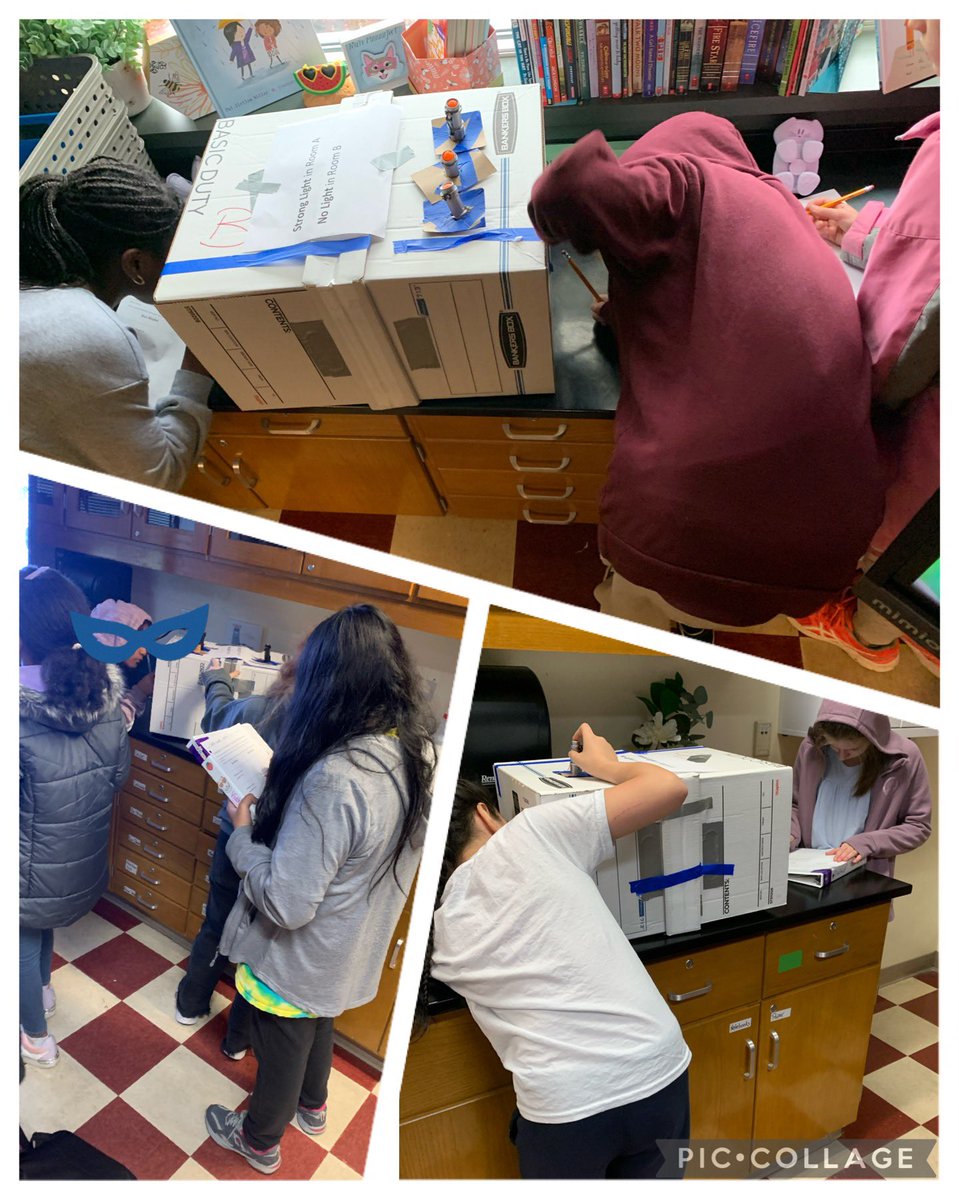 MrsCastorena_'s tweet photo. Fun @OpenSciEd lab. Observing light differential with one way mirrors. #lightandmatter #6thgrade #openscied #EMStimberwolves @EPS_EvergreenMS https://t.co/MtbpjOrdSk