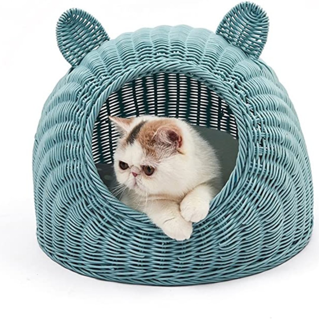 MaryDPeck1's tweet photo. Chencheng closed rattan cat house with cushions
Our pet beds have a beautiful natural color that can seamlessly add to any room's decor! 
#cathouse #pethouse #pethouses #doghouses  #cats #cathouse #catshed #catstudio #catsofinstagram #catsagram #pinkhouse https://t.co/5zysh29HD2