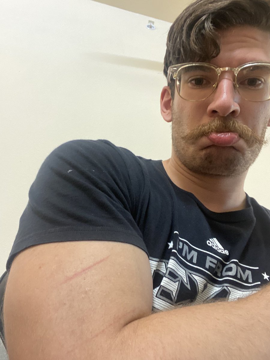 Lord Admiral Matthew Gaston 🌿 on Twitter "🌳🔪"