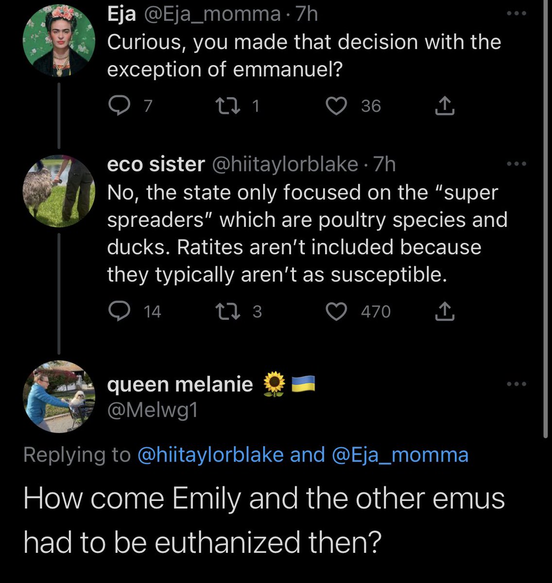 HonkIfUrHoary's tweet photo. @abigailthiemkey @sciencewithtyus @USDA She claims itโs because emus โarenโt as susceptibleโ but she euthanized all the other emus? https://t.co/dBiodlqO4m