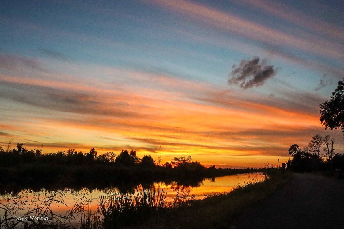 TerriGPhoto's tweet photo. Bayou Folse, Raceland @MargaretOrr @Lovin_Louisiana @LafourcheGazett #Sunset #bayou #Louisiana #Bayoumommarocks https://t.co/rDLvu8lhSh