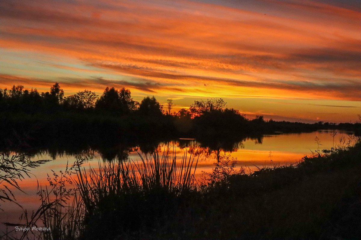 TerriGPhoto's tweet photo. Bayou Folse, Raceland @MargaretOrr @Lovin_Louisiana @LafourcheGazett #Sunset #bayou #Louisiana #Bayoumommarocks https://t.co/rDLvu8lhSh