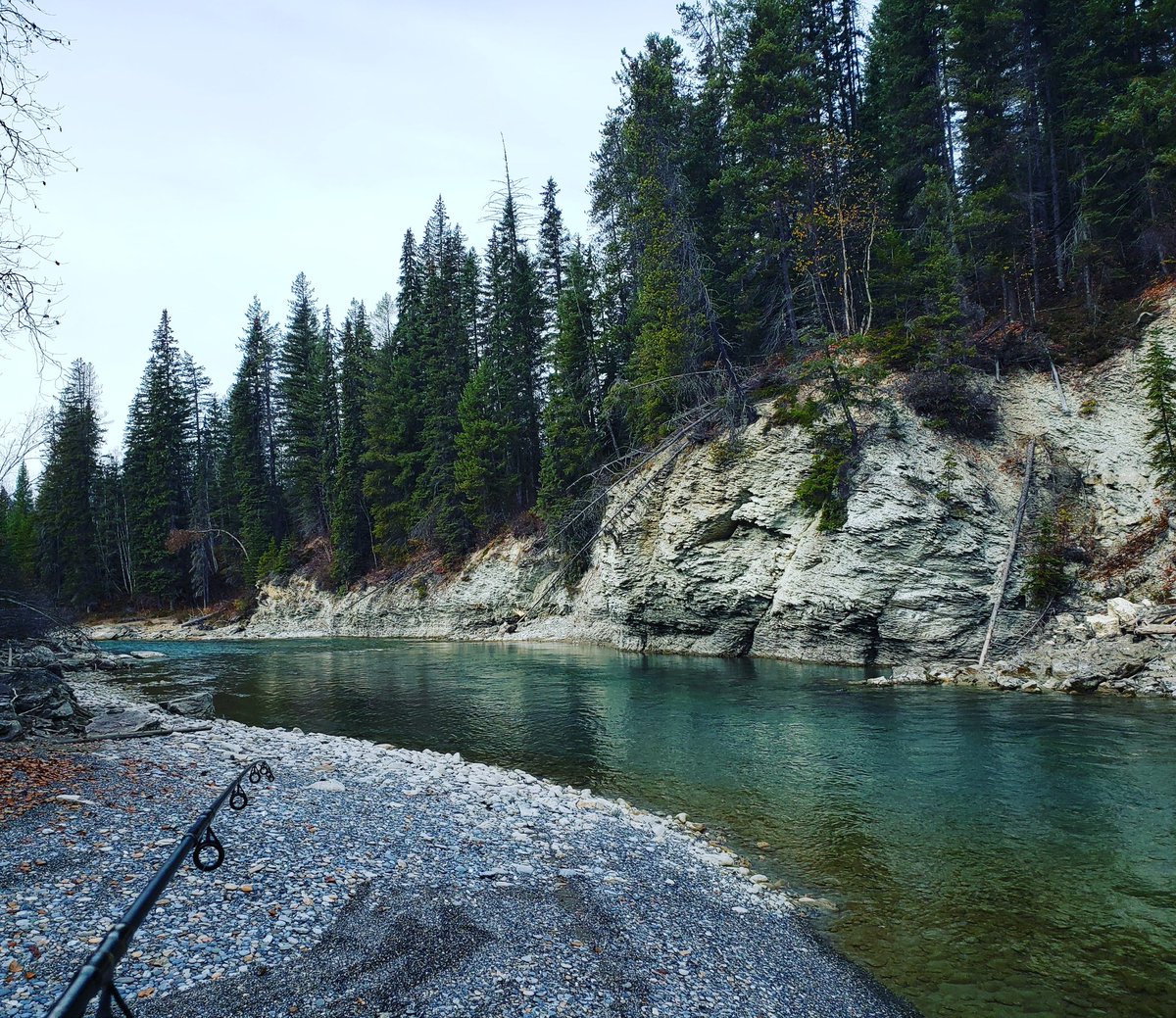 Salmon Charters tweet media