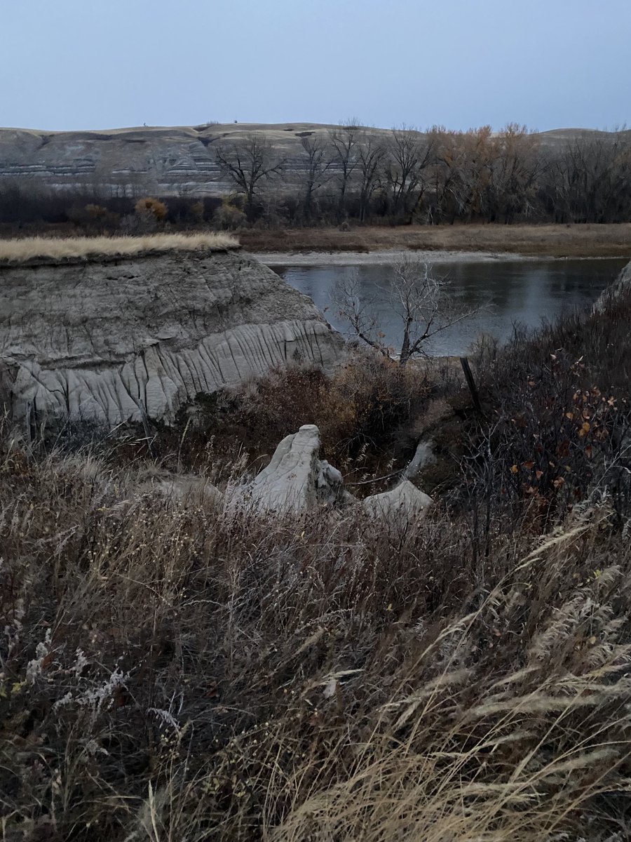 Monte Solberg tweet media