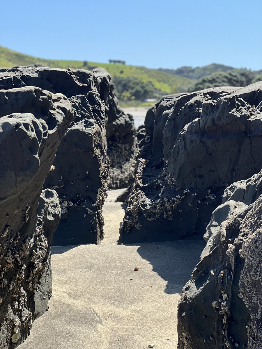 followspen's tweet photo. #beachingit #shakespearregionalpark #NewZealand ππ https://t.co/dQ4V6LU3U5