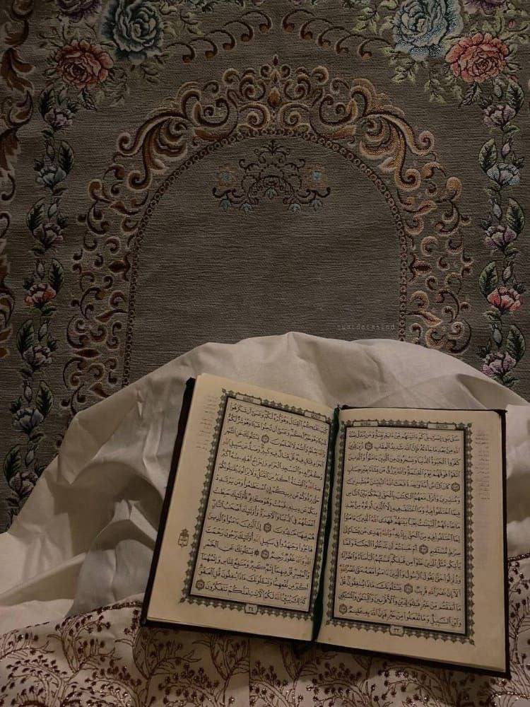 LOtoof123Ll's tweet photo. المُستأنِس بِغير الله وَحِيد 🌱 https://t.co/CPJUW5xSVF