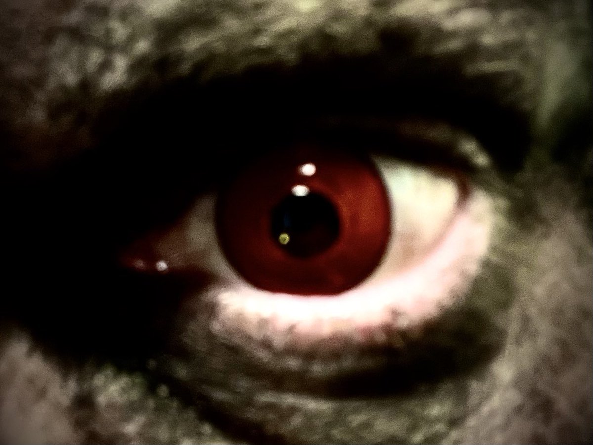 HellrazerHawke's tweet photo. I SAY I’M DEAD

AND I MOVE. https://t.co/3rNLwKPU2z