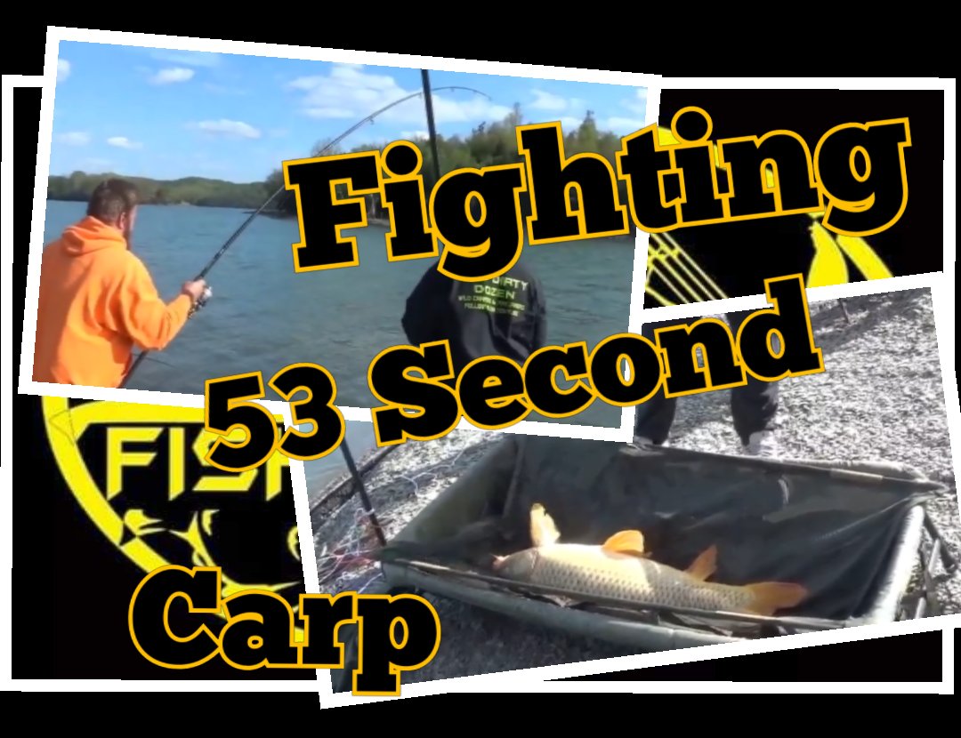 fish_fighters's tweet photo. Team Fish Fighters
Teammate Ricky Jr. Massey. Fighting a 53 second carp.
#TFF
https://t.co/oq0ZG4Tv0H https://t.co/9VMzDM9LTa
