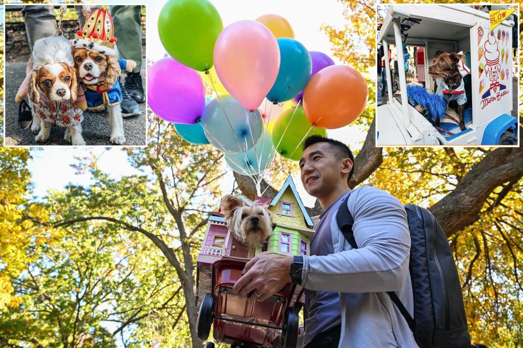 nypost's tweet photo. Every dog had its day celebrating Halloween at NYC's Tompkins Square Park https://t.co/1Uu0Dj36UH https://t.co/AzQYy1XgXM
