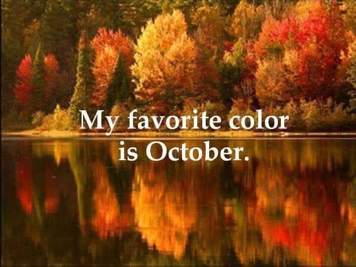 @sitaravirgo @lalarukh6 @naz_shaina @SamerAmeer @mohsinmalvi19 @hostirfan @drouchemed58 @khuram_sahi @S_Fahim_IQ @Whistlerrr @PatriotAhmed #October My favourite month that is full of lovely colours of #autumn 🍂 #happysunday