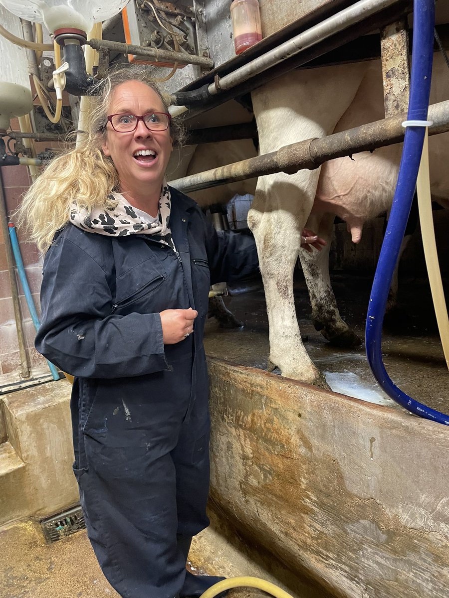 ShocklachSchool's tweet photo. Mrs Gilbert is loving the opportunity to get some hand on farming experience &amp; is learning lots from the young Shocklach farmers to help with her research for this project! https://t.co/dZOCOGiJ0a
